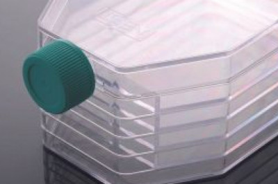 Molecular Biology Products