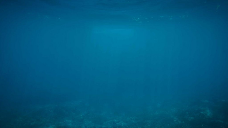 ndln bbtvmy gvrgyh the good the bad and the ugly