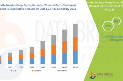 North America Deep Partial-Thickness Thermal Burns Treatment Market supply and demand