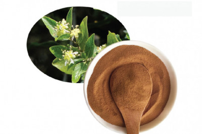 Quillaia Extract Market Share, Revenue and Growth Analysis Report Till 2028 | Value Market Research