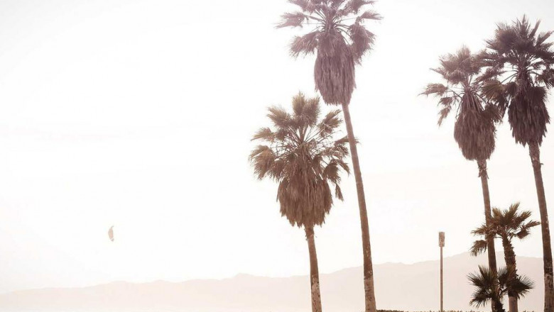 small company consulting why you need this if you desire to succeed