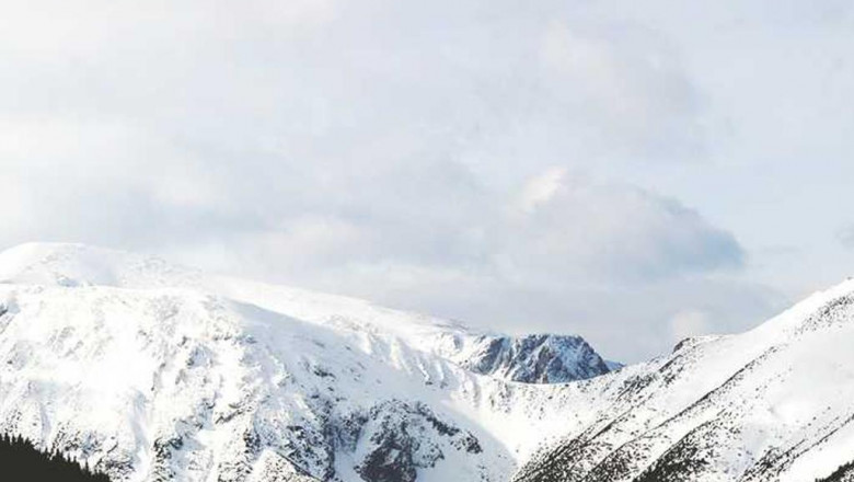 the symptoms of online fraud and stay clear of it