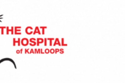 Tips in Preparing for Your Pet’s First Vet Visit