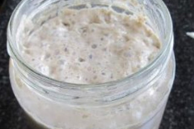 What is Gluten-free Sourdough Starter and Dried Elderberries?