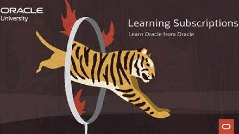 1z0-1081-22 Latest Exam Simulator - Oracle Reliable 1z0-1081-22 Study Guide