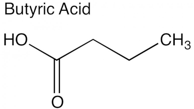 Голодная кислота. Масляная кислота butyric acid. Масляная кислота структурная формула. Масляная кислота формула структурная формула. Масляная кислота формула.