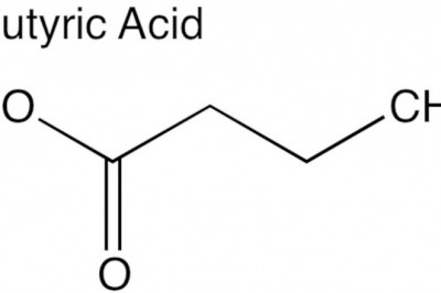 Forecasting 2022-2028: Global Butyric Acid Market trends, share, size, growth, opportunities, and forecasts