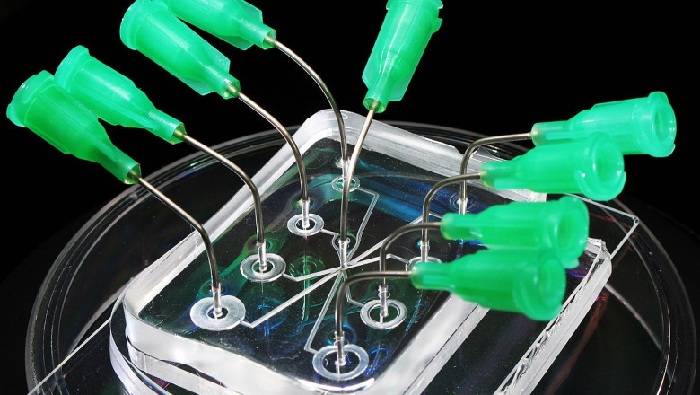 Microfluidics Market Insights, Growth and Competitive Analysis during the Forecast Period 2019-2027