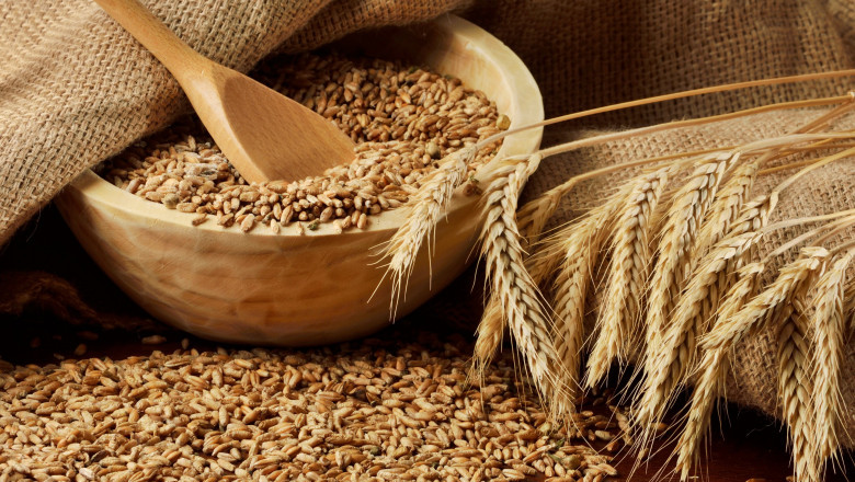 Specialty Malt Market - Forecast (2022 - 2027)