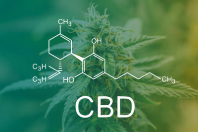 What To Look For When Looking For Online Weed Dispensary In Canada
