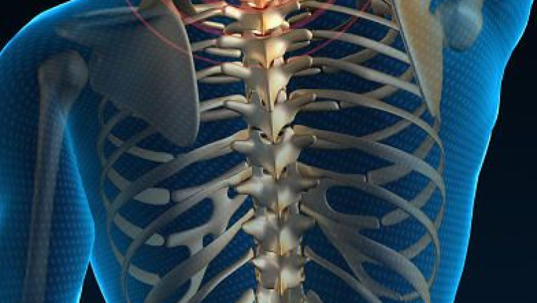 How to Relieve Back Pain at Home Quickly?