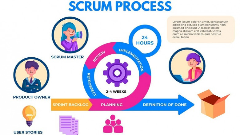 Scaled Agile Framework Scrum: Real Case Studies 2025
