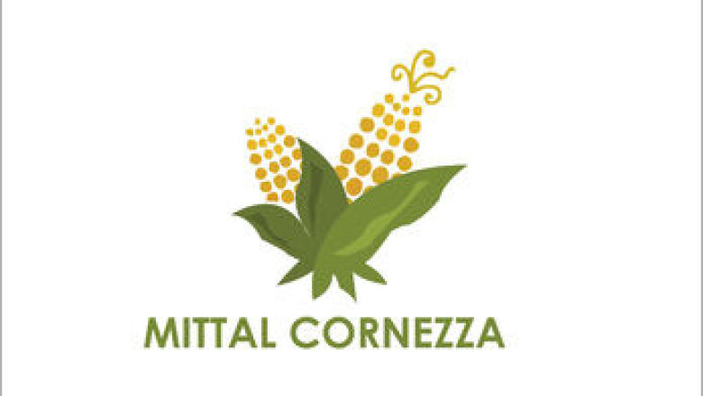 Why Food Industries Prefer High-Quality Corn Flour?