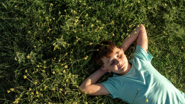 Why Positive Behaviour Support Is a Culture, Not a Plan