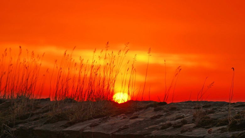 Amazing Sunrise Habits That Will Change Your World