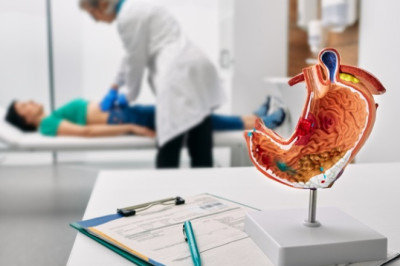 Who Rates Them? Understanding the Metrics Behind Top-Rated Health Insurance in 2026